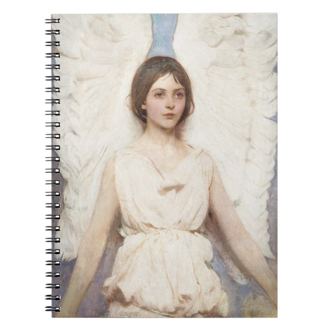 Cuaderno de Angel de Thayer (Frente)
