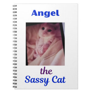 Cuaderno de Angel la gata impertinente
