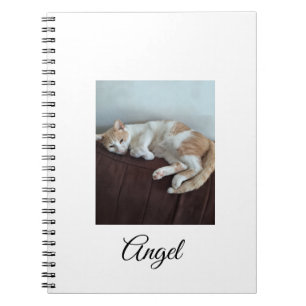 Cuaderno de Angel la Gata Sassy