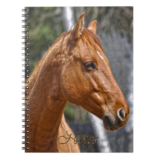 Cuaderno de animales equinos de amante de los caba (Frente)