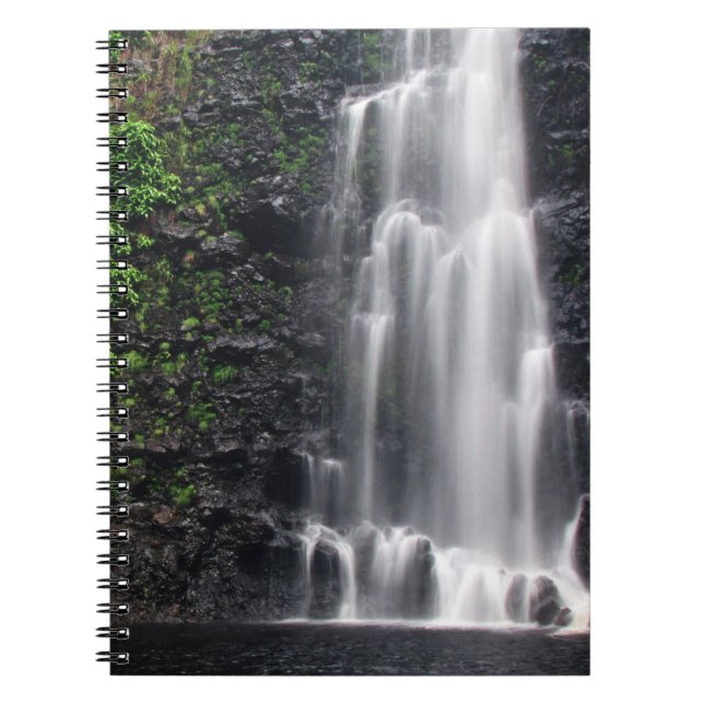 Cuaderno de "Anna's Pond" (Frente)
