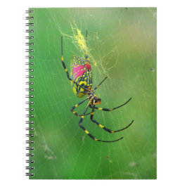 Cuaderno de Araña de Weaver de Orb Dorado