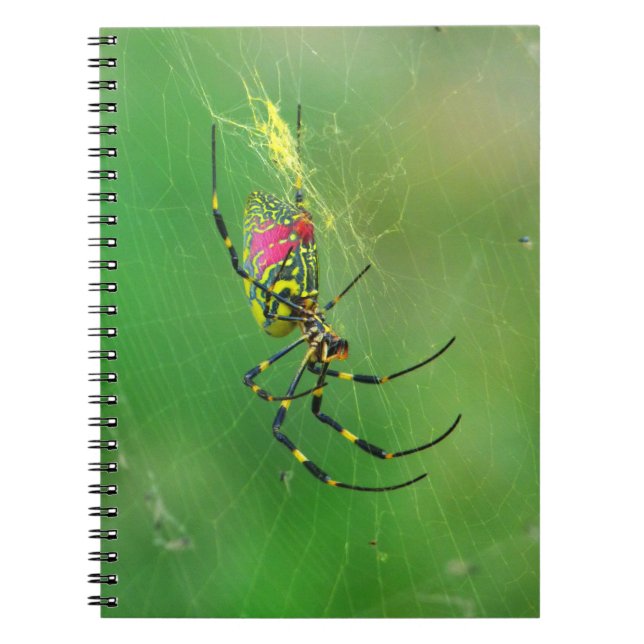 Cuaderno de Araña de Weaver de Orb Dorado (Frente)