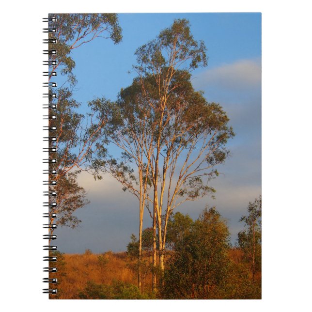 Cuaderno de árboles de goma de Australia (Frente)