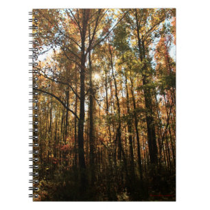 Cuaderno de árboles de otoño #3855
