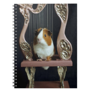 Cuaderno de Arpa de Cuy – Cuento Caprichoso
