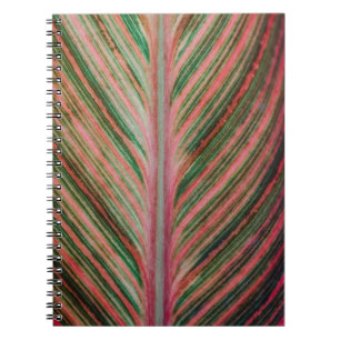 Cuaderno de arte