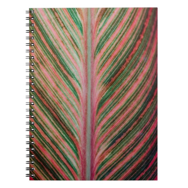 Cuaderno de arte (Frente)