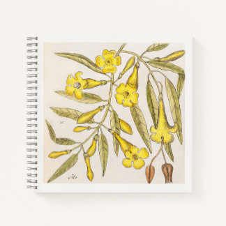 Cuaderno de arte botánico amarillo del siglo XVIII