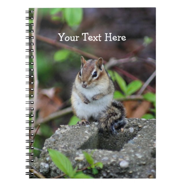 Cuaderno de arte Chubby Chipmunk Nature (Frente)