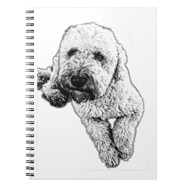 Cuaderno de Arte con Tinta Realista de Lagotto (Frente)