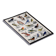 Cuaderno de Aves Antiguas