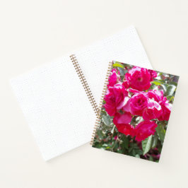 Cuaderno de balas de rosas glamurosas