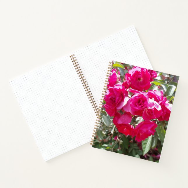 Cuaderno de balas de rosas glamurosas (Interior)