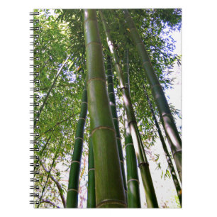 Cuaderno de bambú del bosque del jardín japonés