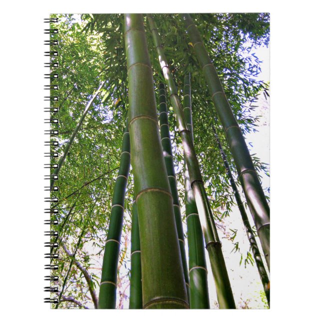 Cuaderno de bambú del bosque del jardín japonés (Frente)