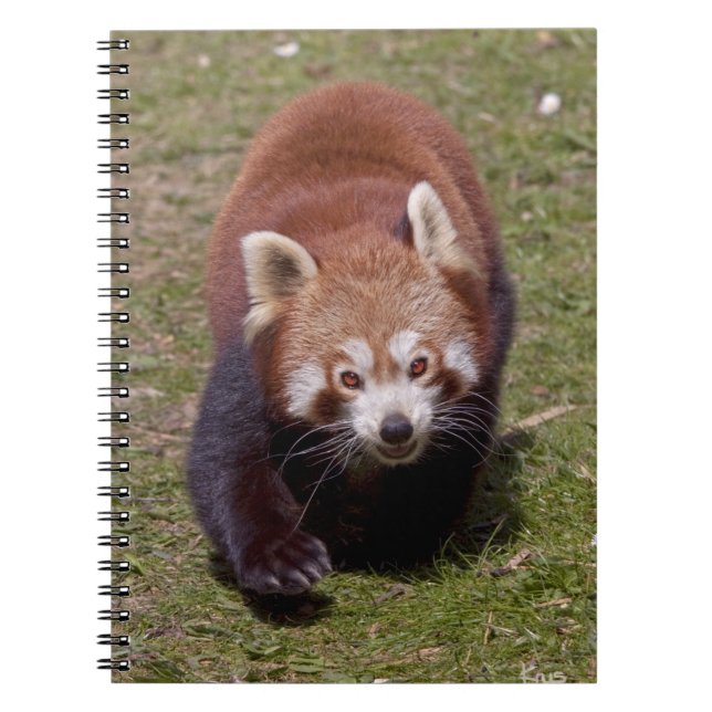 Cuaderno de Bandoleros (Frente)