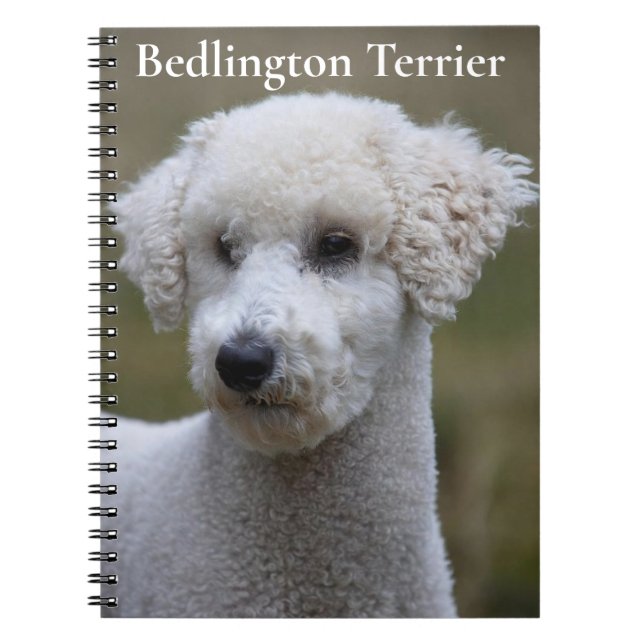 Cuaderno de Bedlington Terrier (Frente)