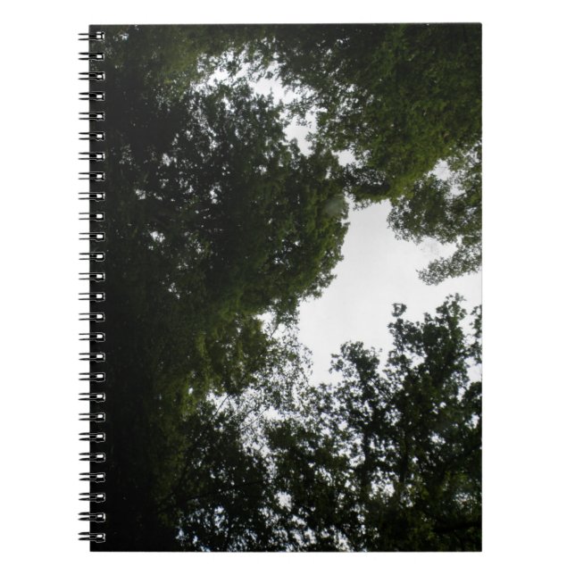 Cuaderno de bosque con aroma (Frente)