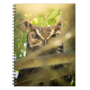 Cuaderno de búho cornudo grande   Ave del bosque o