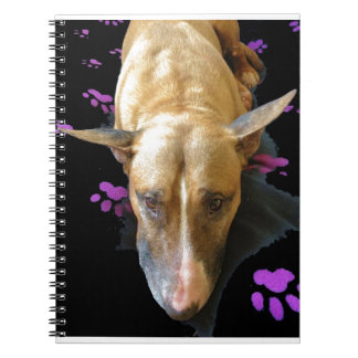 Cuaderno de bull terrier del inglés