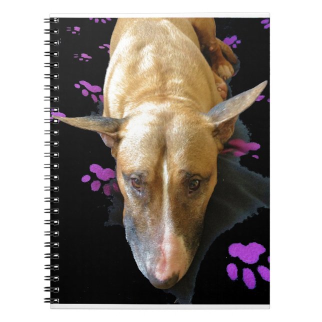 Cuaderno de bull terrier del inglés (Frente)