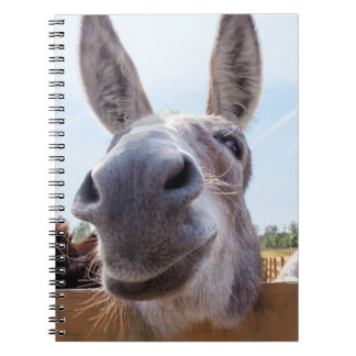 Cuaderno de burro sonriente