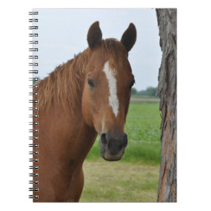 Cuaderno de caballo