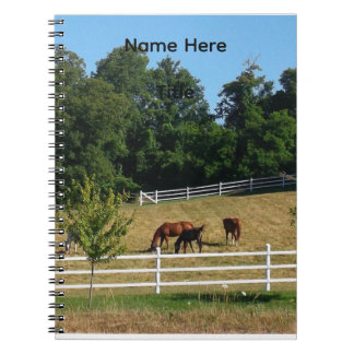 Cuaderno de caballos
