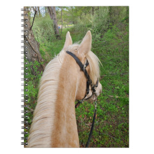 Cuaderno de caballos