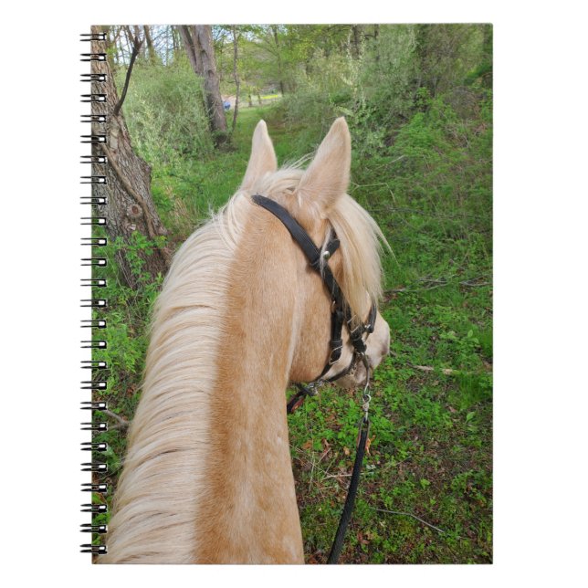 Cuaderno de caballos (Frente)