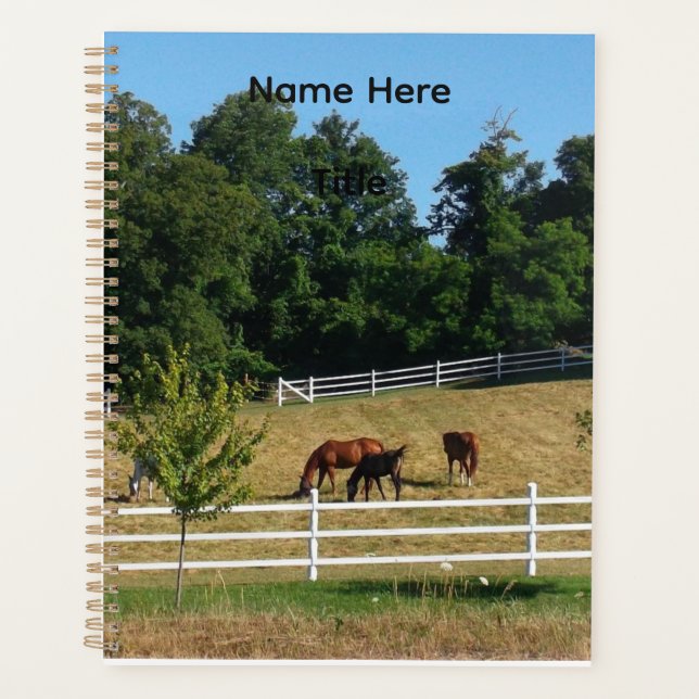 Cuaderno de caballos (Anverso)