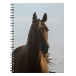Cuaderno de caballos
