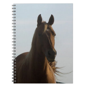 Cuaderno de caballos