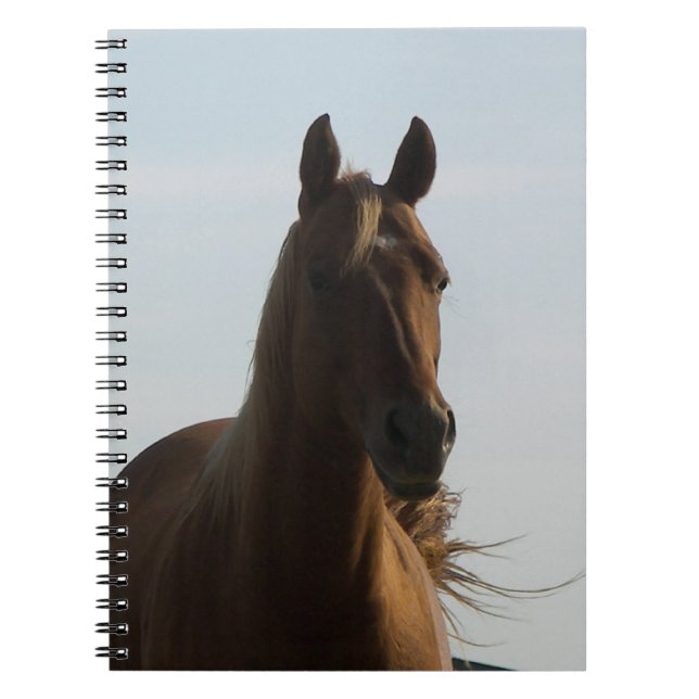 Cuaderno de caballos (Frente)