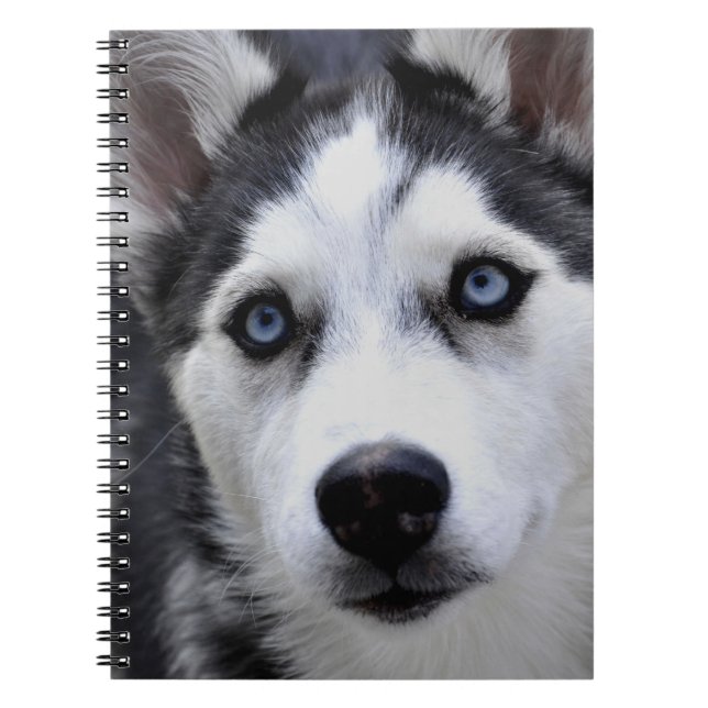 Cuaderno de cachorro Husky (Frente)
