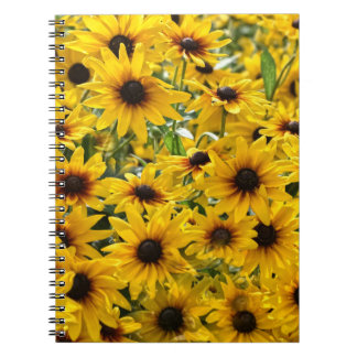 Cuaderno de Campo de Girasoles