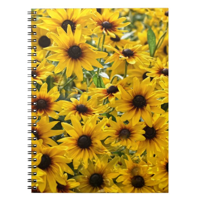 Cuaderno de Campo de Girasoles (Frente)