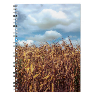 Cuaderno de Campo de Maíz Rústico y Cielo Azul Dra