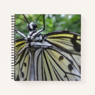 Cuaderno de cierre de mariposa blanca y negra