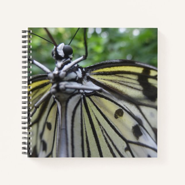 Cuaderno de cierre de mariposa blanca y negra (Anverso)