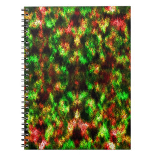 Cuaderno De color verde, de amarillo a rojo con plumas.