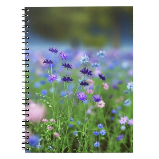 Cuaderno de Cornflower Blue (Frente)