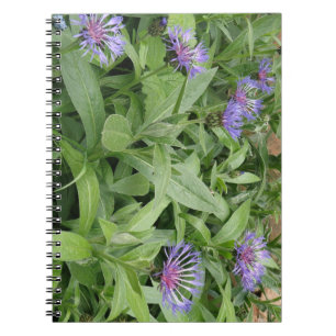 Cuaderno de Cornflowers