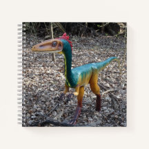 Cuaderno de Cuaderno de Dinosaurios Cuadros