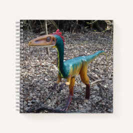 Cuaderno de Cuaderno de Dinosaurios Cuadros