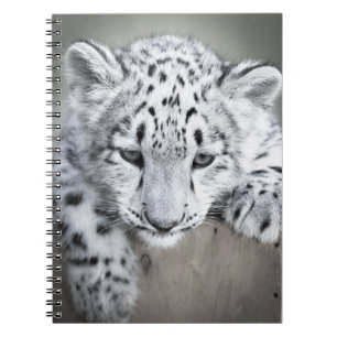 Cuaderno de Cub de la onza de Adorabe