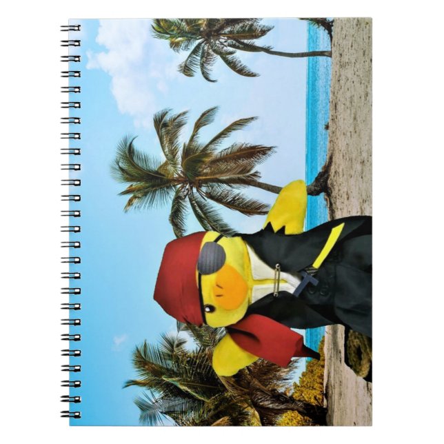 Cuaderno de Danny Duck el Pirata (Frente)