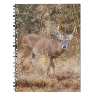 Cuaderno de diario de un ciervo macho en una prade