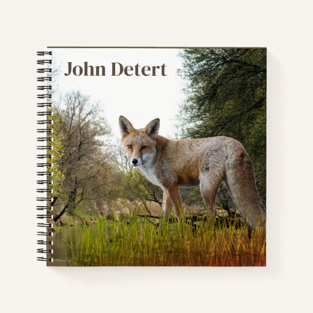 Cuaderno de diario personalizado de zorro en los b (Anverso)